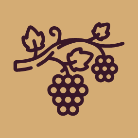 Services viticoles Bandol Cassis Provence